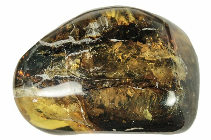 Polished Chiapas Amber ( g) - Mexico #274407